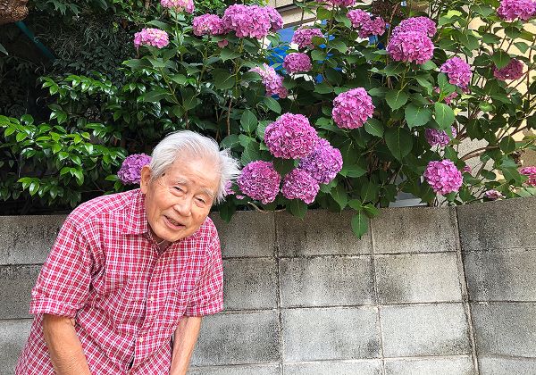 紫陽花の花とお父さんの写真